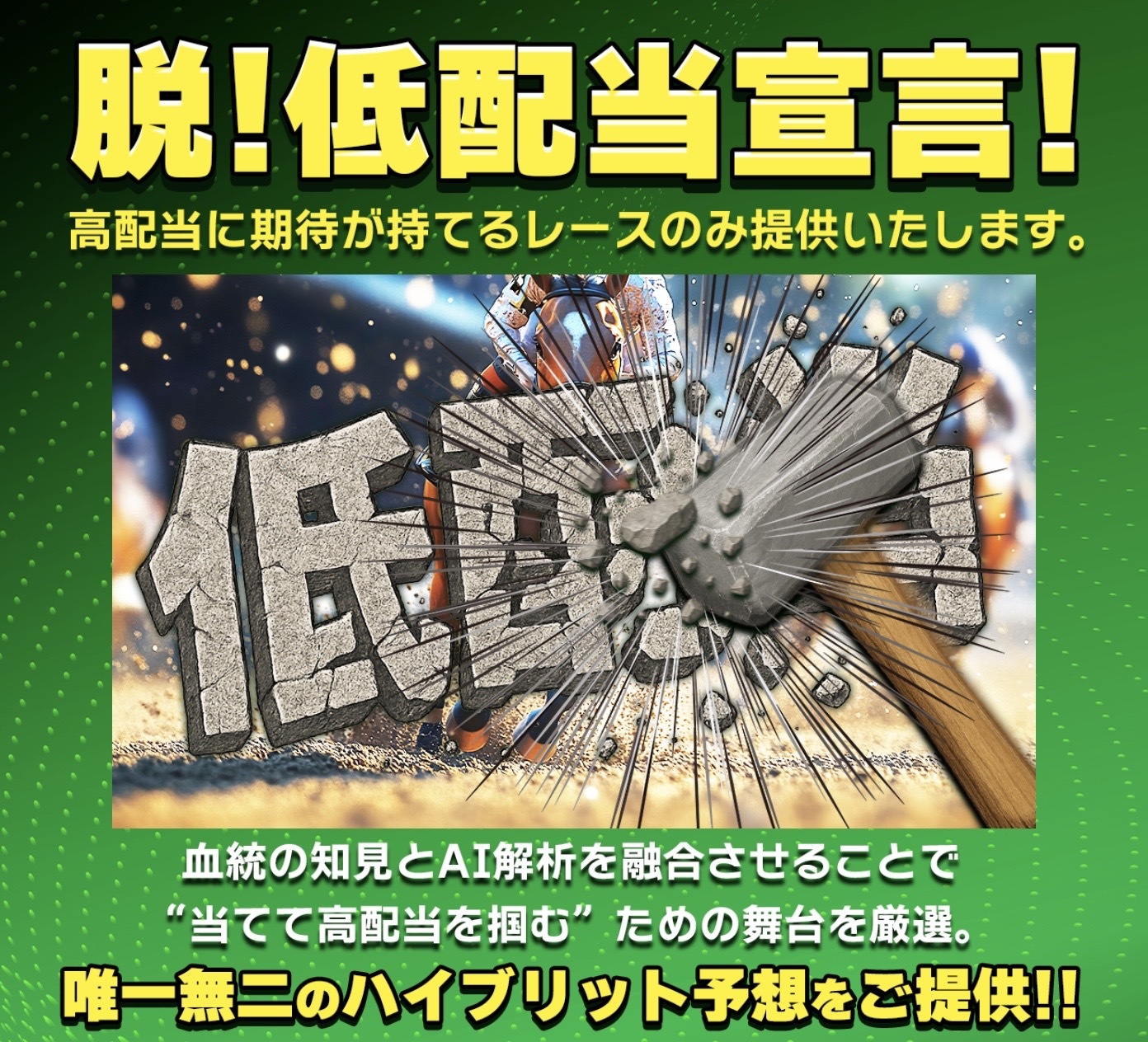 サラコレの公式サイトの画像