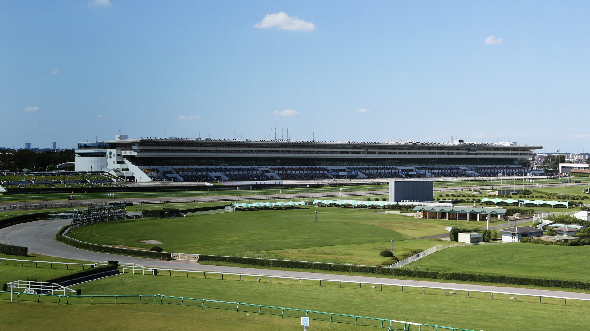 中山競馬場芝1200mの外回りの画像