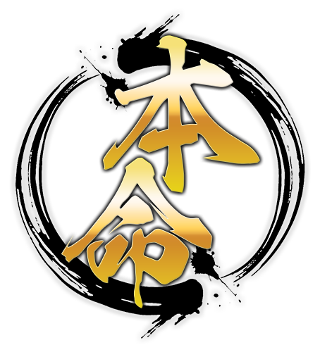 本命のLP画像